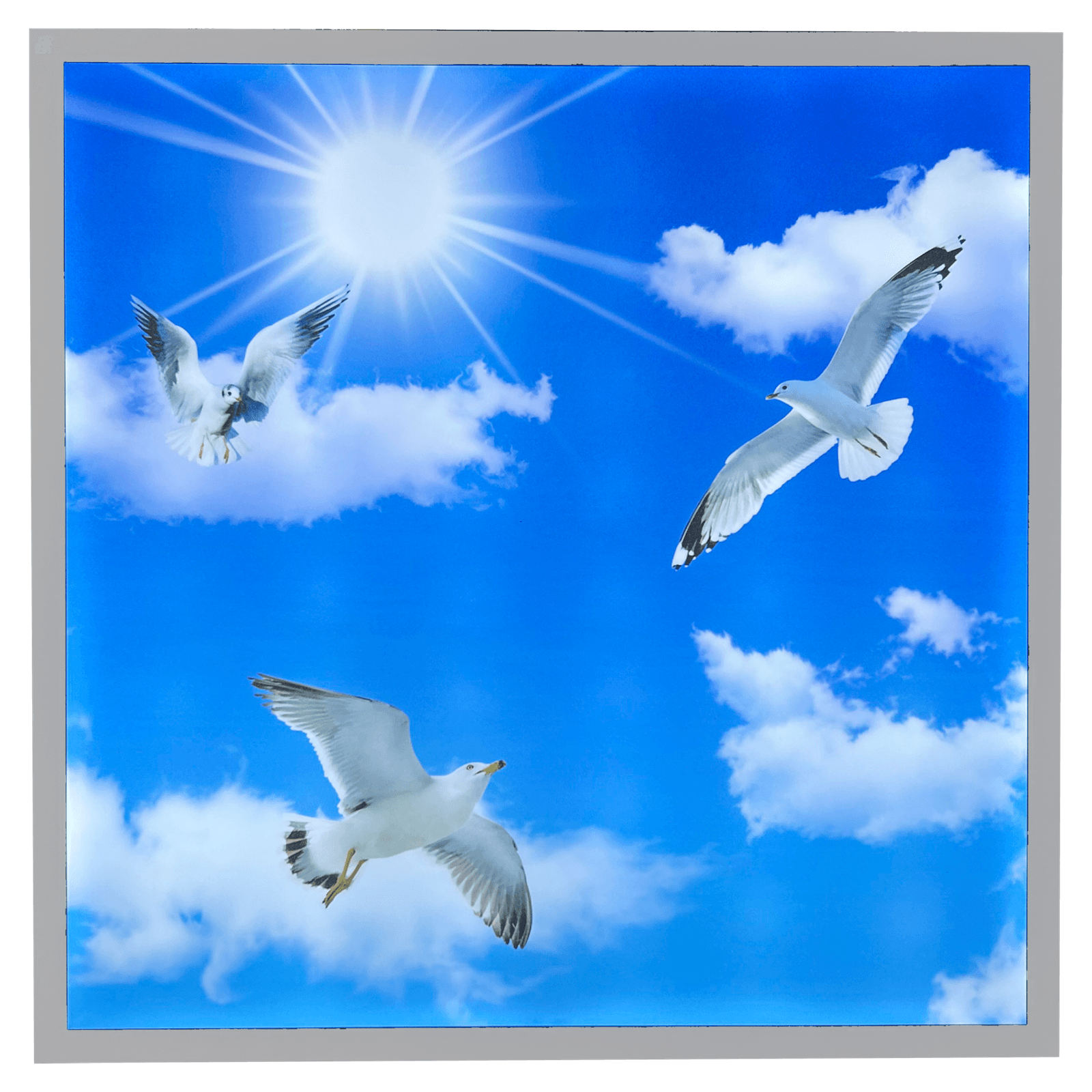 Bird & Sky Panel LED Ceiling Light | 600 x 600mm | Anti-Yellowing